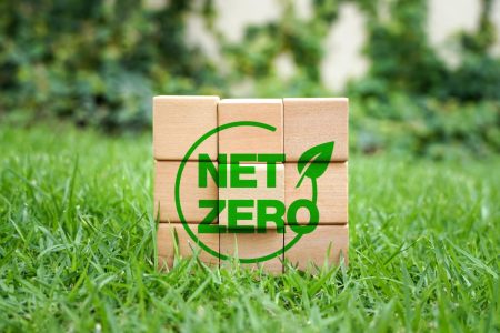 Innovation Fund Net Zero Technologies resultats 2024