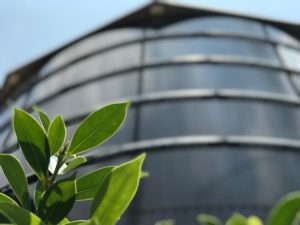 projets industriels décarbonation